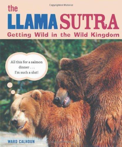 The Llama Sutra: Getting Wild in the Wild Kingdom