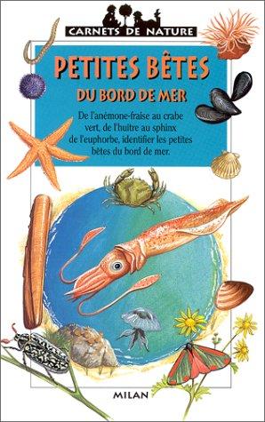 Petites bêtes du bord de mer