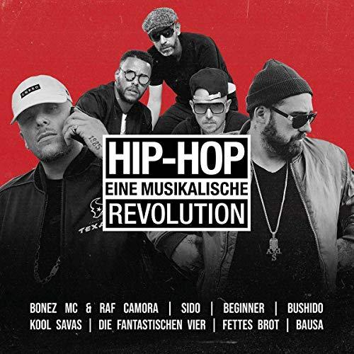 Hip Hop-Eine Musikalische Revolution