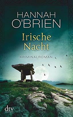 Irische Nacht: Kriminalroman