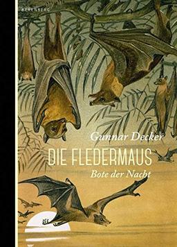 Die Fledermaus: Bote der Nacht