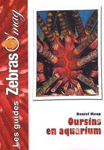 Oursins en aquarium