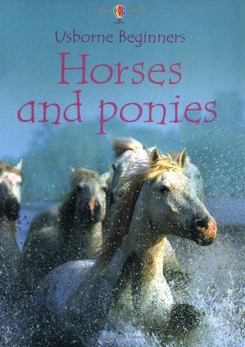 Horses and Ponies (Beginners)