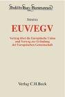 Beck'sche Kurzkommentare, EUV/EGV, Kommentar: Vertrag über die Europäische Union und Vertrag zur Gründung der europäischen Gemeinschaft