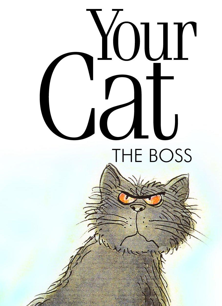 Your Cat The Boss: 1