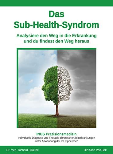 Das Sub-Health-Syndrom - Analysiere den Weg in die Erkrankung und du findest den Weg heraus