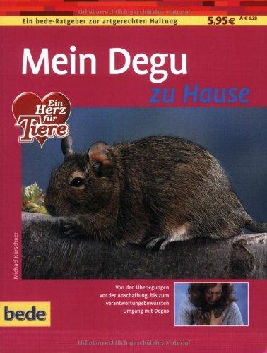 Degu, zu Hause