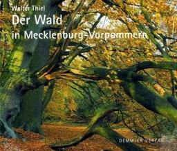 Der Wald in Mecklenburg-Vorpommern