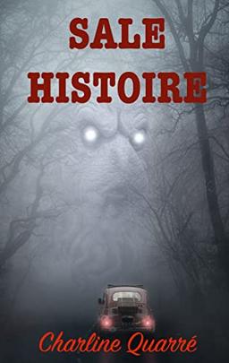 Sale Histoire