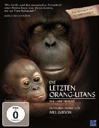 Die letzten Orang-Utans - The Last Trimate