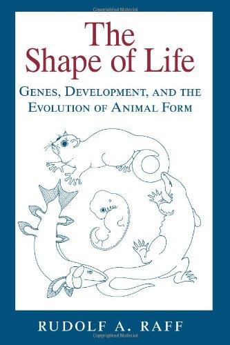 The Shape of Life: Genes, Development, and the Evolution of Animal Form