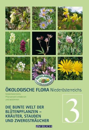 Ökologische Flora Niederösterreichs bunte Pflanzenwelt entdecken und bestimmen: Band 3 - Krautige Gewächse