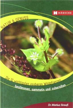 Die 12 wichtigsten essbaren Wildpflanzen: Bestimmen, sammeln und zubereiten