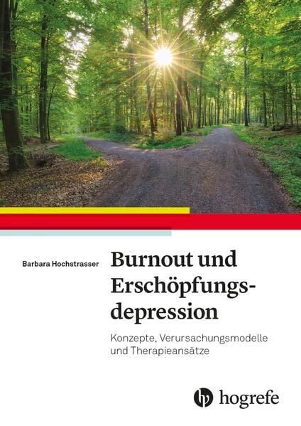 Burnout und Erschöpfungsdepression: Konzepte, Verursachungsmodelle, Therapieansätze