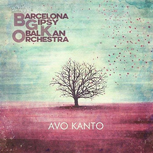 Avo Kanto