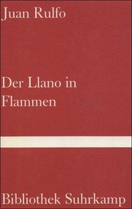 Der Llano in Flammen.