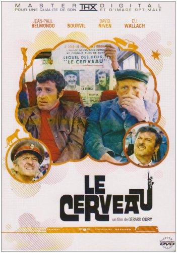 Le cerveau [FR Import]