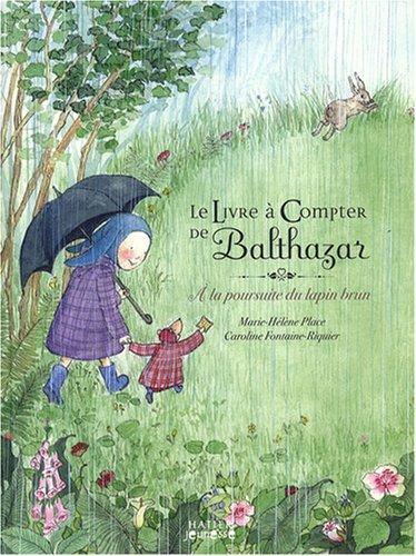 Le livre à compter de Balthazar : à la poursuite du lapin brun