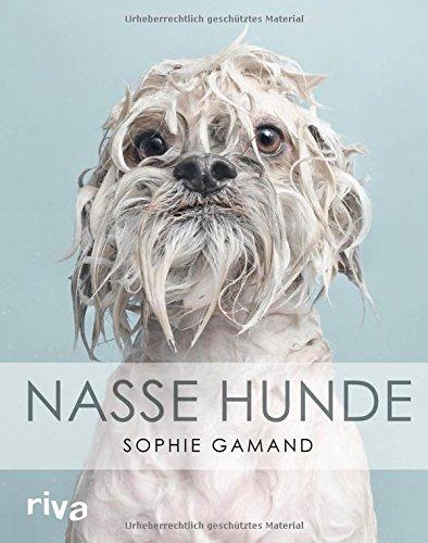 Nasse Hunde