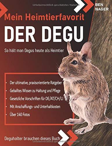 Der Degu: Mein Heimtierfavorit