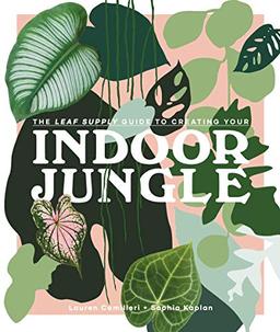 The Leaf Supply Guide to Creating Your Indoor Jungle