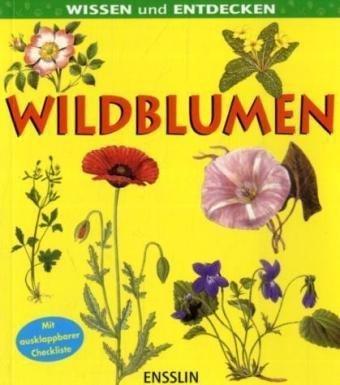 Wissen und entdecken. Wildblumen