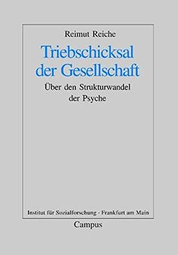 Triebschicksal der Gesellschaft: Über den Strukturwandel der Psyche (Frankfurter Beiträge zur Soziologie und Sozialphilosophie)