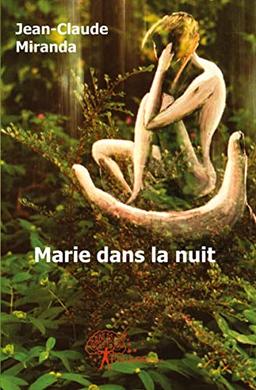 Marie dans la nuit