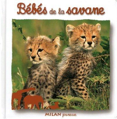 Bébés de la savane