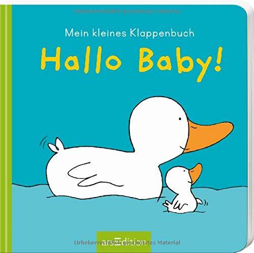 Hallo Baby!: Mein kleines Klappenbuch