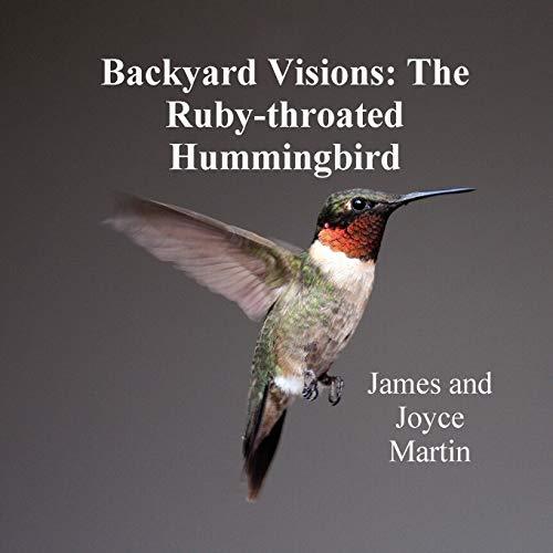 Backyard Visions: The Ruby-throated Hummingbird