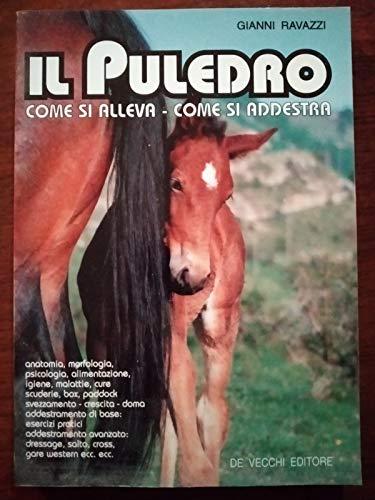 Il puledro