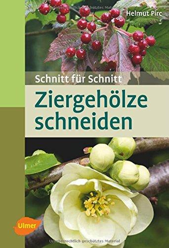 Ziergehölze schneiden: Schnitt für Schnitt