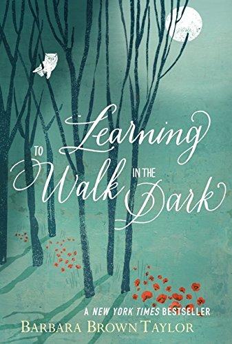 Learning to Walk in the Dark