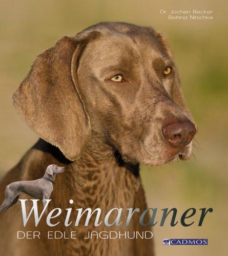 Weimaraner: Der edle Jagdhund