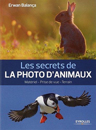 Les secrets de la photo d'animaux : matériel, prise de vue, terrain