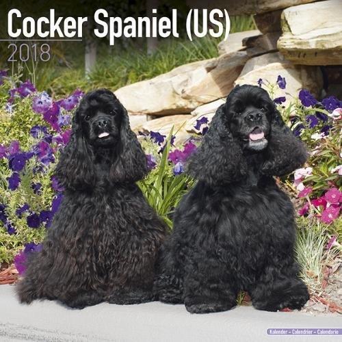 Cocker Spaniel (US) Calendar 2018