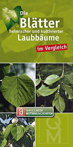 Die Blätter heimischer und kultivierter Laubbäume im Vergleich (Quelle & Meyer Bestimmungskarten)