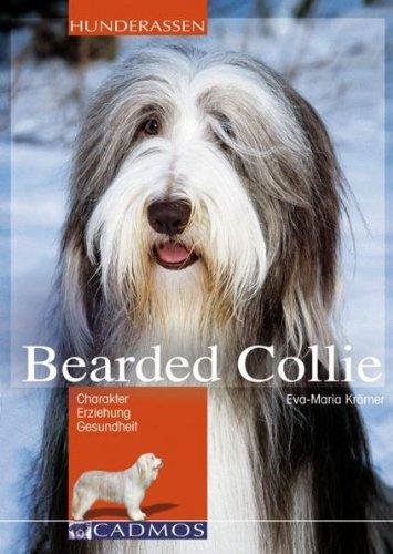 Bearded Collie: Charakter, Erziehung, Gesundheit