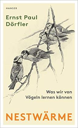 Nestwärme: Was wir von Vögeln lernen können