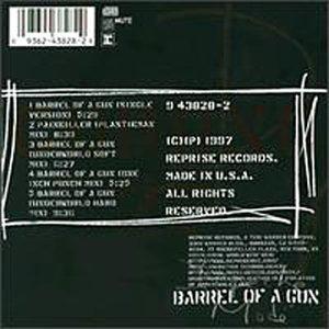 Barrel of a Gun