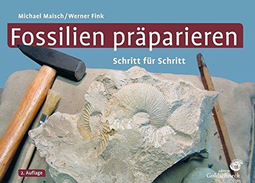 Fossilien präparieren: Schritt für Schritt