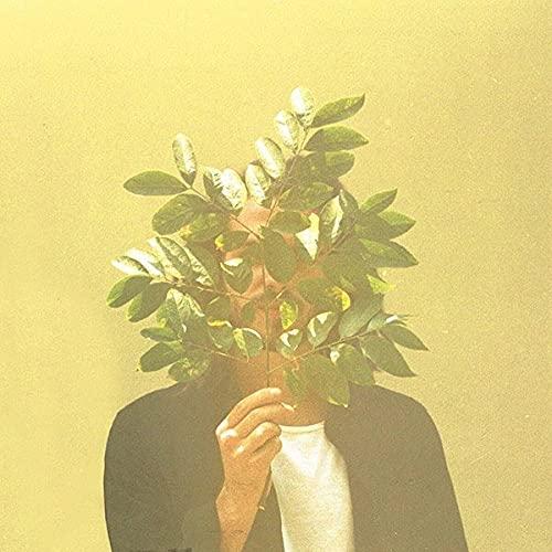 French Kiwi Juice (2lp) [Vinyl LP]