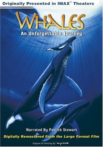 Whales - Wale/Die Giganten der Meere IMAX