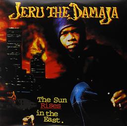 Sun Rises in the East [Vinyl LP]