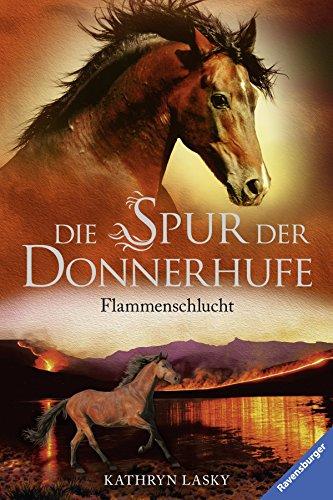 Die Spur der Donnerhufe 1: Flammenschlucht