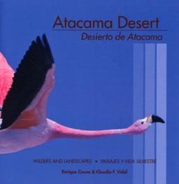 Atacama Desert / Desierto De Atacama: Wildlife and Landscapes / Paisajes Y Vida Silvastre