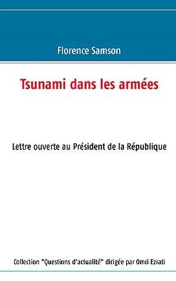 Tsunami dans les armées : Lettre ouverte au Président de la République