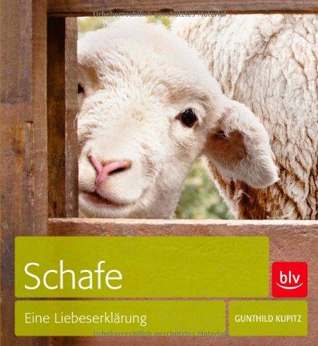 Schafe: Eine Liebeserklärung