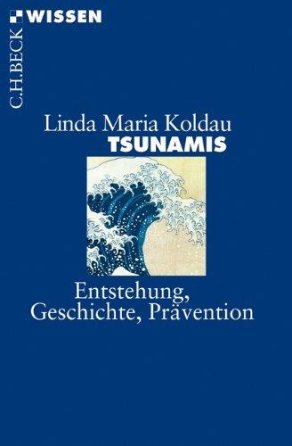 Tsunamis: Entstehung, Geschichte, Prävention